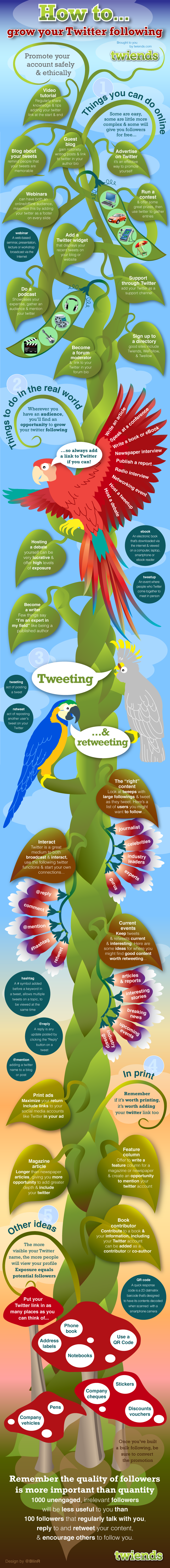 Get More Twitter Followers Infographic