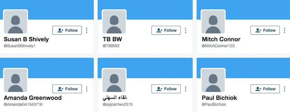 fake accounts